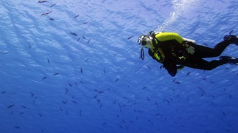 Dianne enjoying the view
